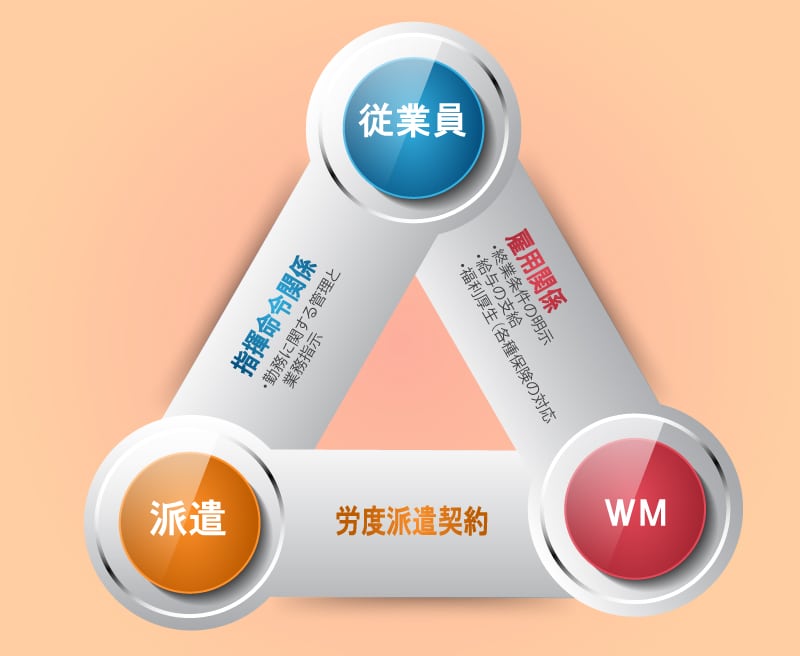 kk-wm-infografic-template